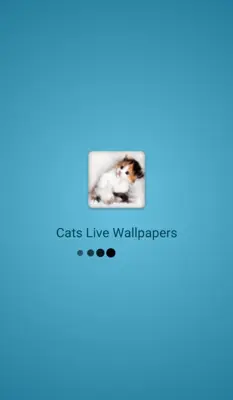 Cats Live Wallpapers android App screenshot 0